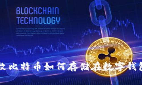 半枚比特币如何存储在数字钱包中