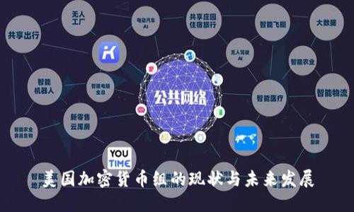 美国加密货币组的现状与未来发展