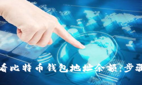 如何查看比特币钱包地址余额：步骤与指南