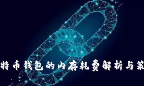 比特币钱包的内存耗费解析与策略