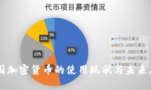 中国加密货币的使用现状与未来展望