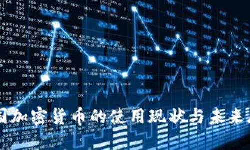 中国加密货币的使用现状与未来展望