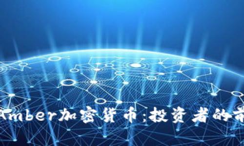 深入了解Amber加密货币:投资者的前景与风险