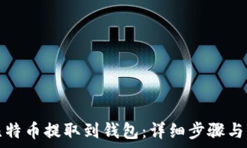 如何将比特币提取到钱包:详细步骤与注意事项