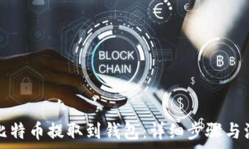 如何将比特币提取到钱包:详细步骤与注意事项