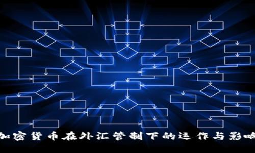 加密货币在外汇管制下的运作与影响