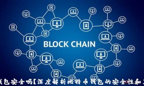 比特币钱包安全吗?深度解析比特币钱包的安全性和黑客风险