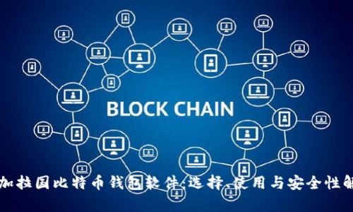 孟加拉国比特币钱包软件:选择、使用与安全性解析