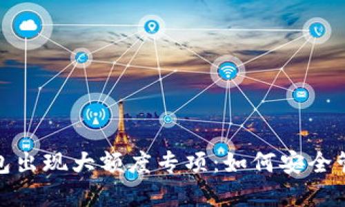 : 比特币钱包出现大额度专项:如何安全管理你的资产