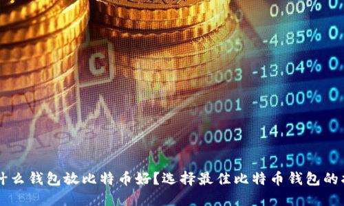 用什么钱包放比特币好?选择最佳比特币钱包的指南