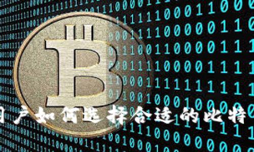大陆用户如何选择合适的比特币钱包