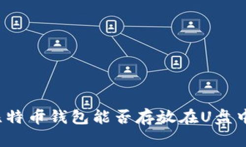 比特币钱包能否存放在U盘中?