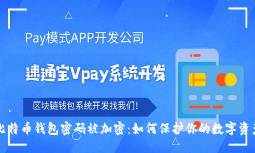 比特币钱包密码被加密:如何保护你的数字资产