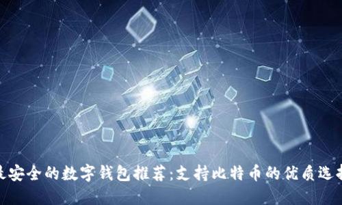 最安全的数字钱包推荐:支持比特币的优质选择