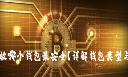 比特币存放哪个钱包最安全？详解钱包类型与选择指南