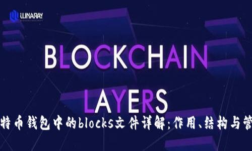 比特币钱包中的blocks文件详解:作用、结构与管理