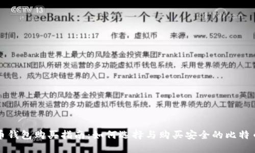比特币钱包购买指南:如何选择与购买安全的比特币钱包