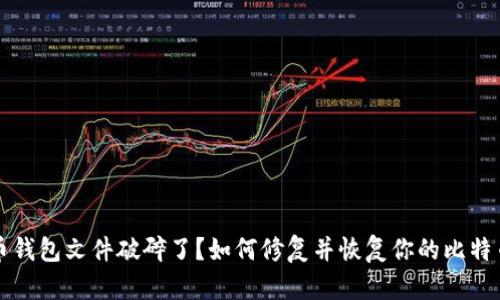 比特币钱包文件破碎了?如何修复并恢复你的比特币资产