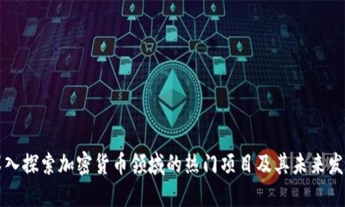 深入探索加密货币领域的热门项目及其未来发展