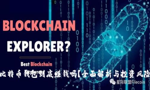 比特币钱包到底赚钱吗?全面解析与投资风险