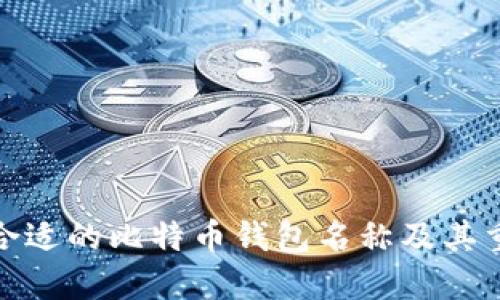 选择合适的比特币钱包名称及其重要性