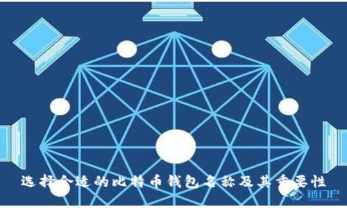 选择合适的比特币钱包名称及其重要性