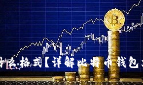 比特币钱包文件是什么格式?详解比特币钱包文件类型与使用指南