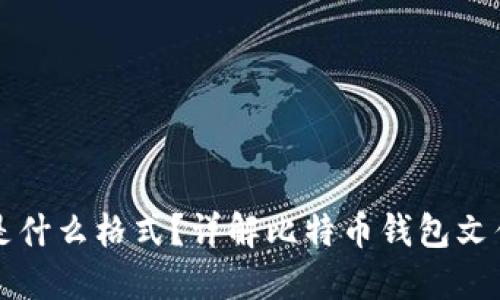 比特币钱包文件是什么格式?详解比特币钱包文件类型与使用指南