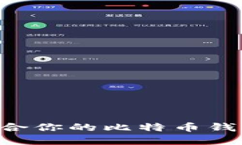 如何选择适合你的比特币钱包:全面指南