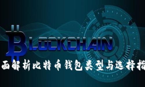 全面解析比特币钱包类型与选择指南