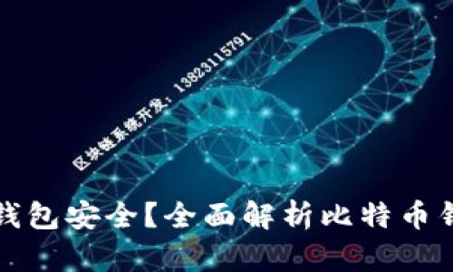 比特币哪种钱包安全?全面解析比特币钱包的安全性