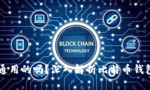 比特币钱包是通用的吗?深入解析比特币钱包的种类与使用