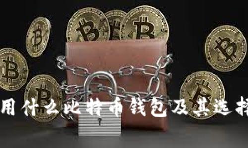 大家用什么比特币钱包及其选择指南