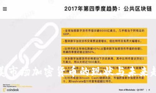 欧美市场加密货币的现状与未来趋势