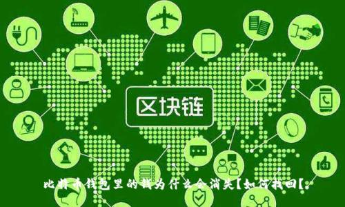 比特币钱包里的钱为什么会消失？如何找回？