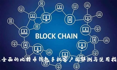 最全面的比特币钱包手机客户端评测与使用指南