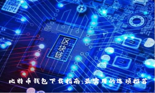 比特币钱包下载指南:最实用的选项推荐
