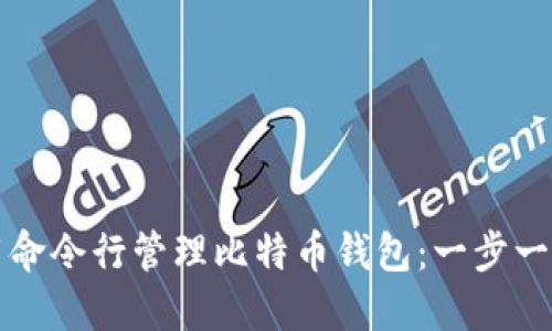 如何使用命令行管理比特币钱包：一步一步的指南
