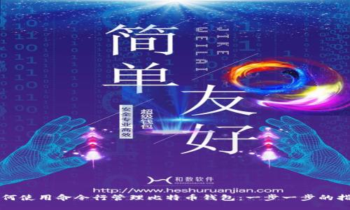 如何使用命令行管理比特币钱包：一步一步的指南