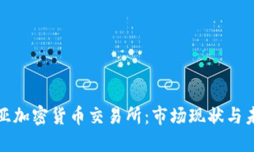 玻利维亚加密货币交易所:市场现状与未来发展