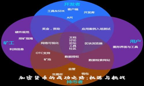 加密货币的成功之路:机遇与挑战