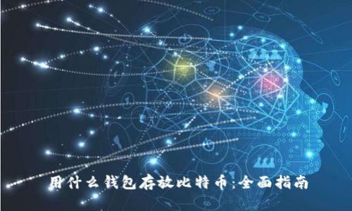 用什么钱包存放比特币:全面指南