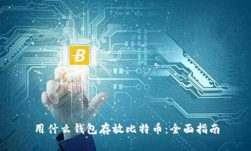 用什么钱包存放比特币:全面指南