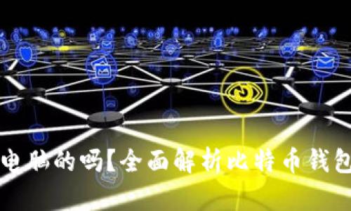 比特币钱包是电脑的吗?全面解析比特币钱包的概念与种类