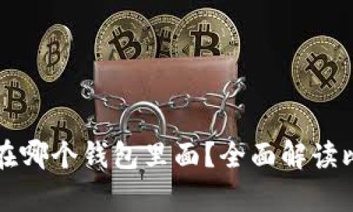 比特币存在哪个钱包里面?全面解读比特币钱包