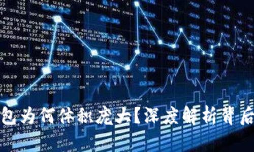 比特币官方钱包为何体积庞大?深度解析背后的原因与影响