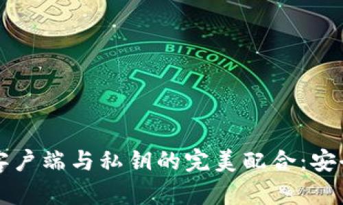 比特币钱包客户端与私钥的完美配合:安全存储与管理