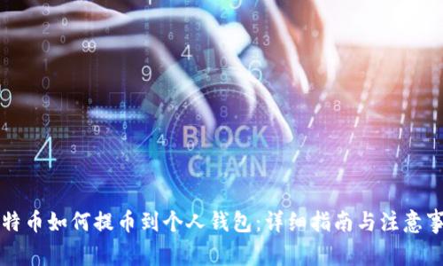 比特币如何提币到个人钱包:详细指南与注意事项