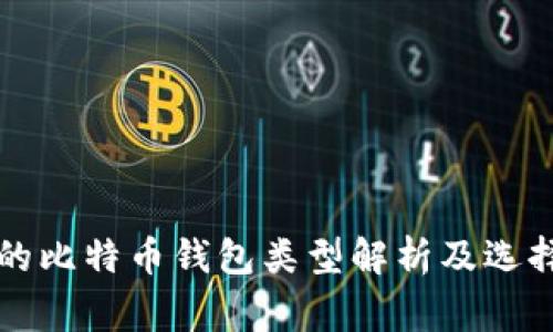 常用的比特币钱包类型解析及选择指南