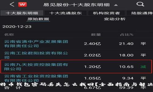 : 比特币钱包密码丢失怎么找回?全面指南与解决方案